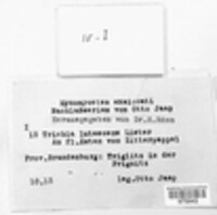 Image Associated With the Occurence